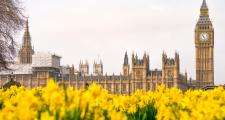 Wales at Westminster
