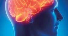 image depicting brain injury