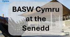 Our work at the Senedd
